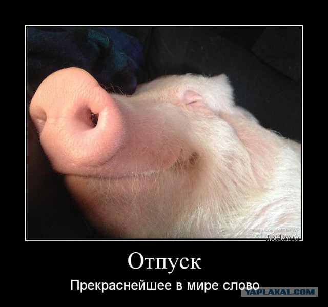 Смешное из сети #2