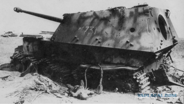 Wargaming 16