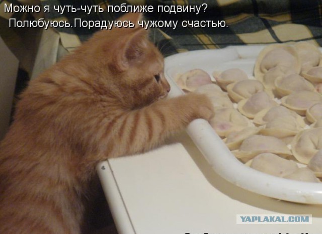 Веселые картинки