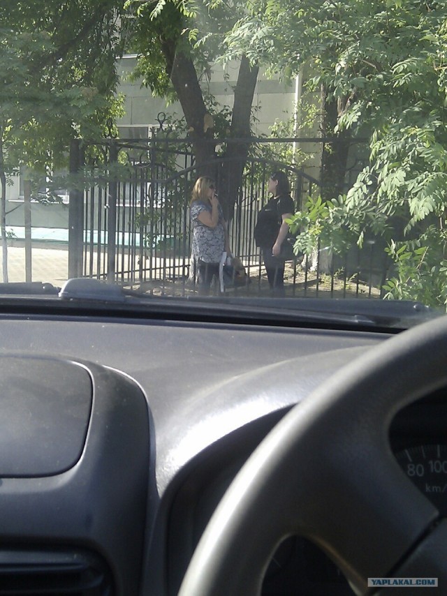 Вообще охренели