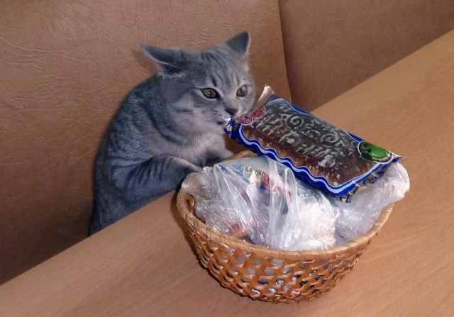 Лапки загребущие