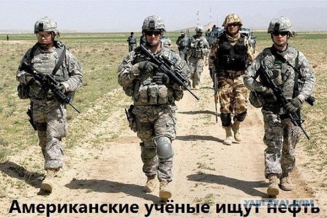 Аргентина объявила свой суверенитет над Фолклендам