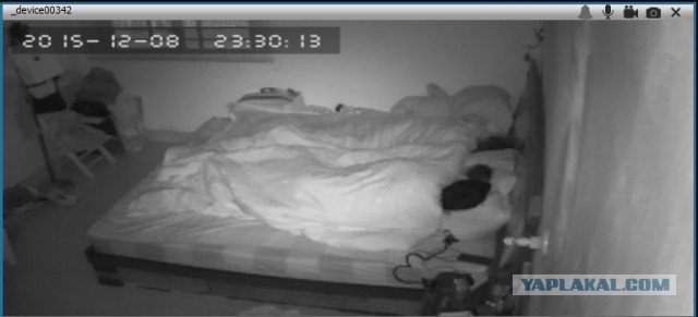 За что я люблю китайцев