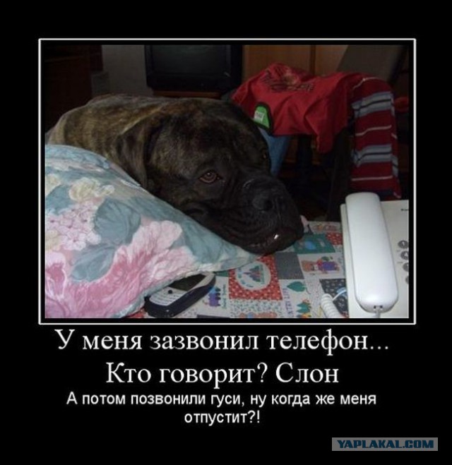 Картинки разные