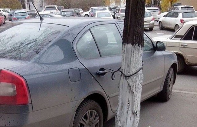 Подборка интересных и веселых картинок