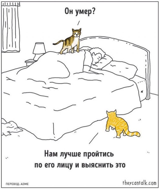 Весёлые картинки
