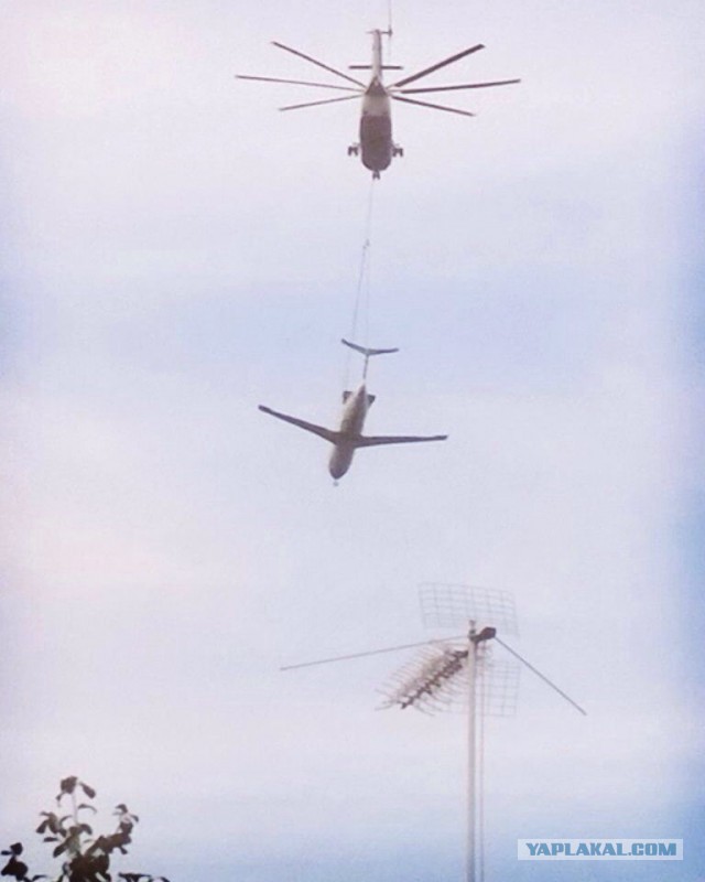 Настоящий фотограф всегда найдёт удачный ракурс!