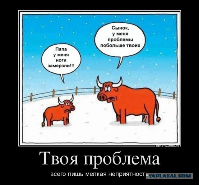 Я в отчаянии.....