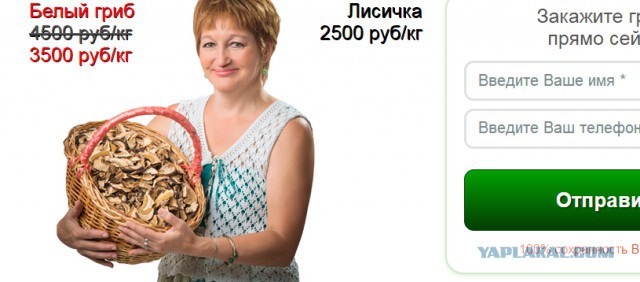 Продам сушёные грибы