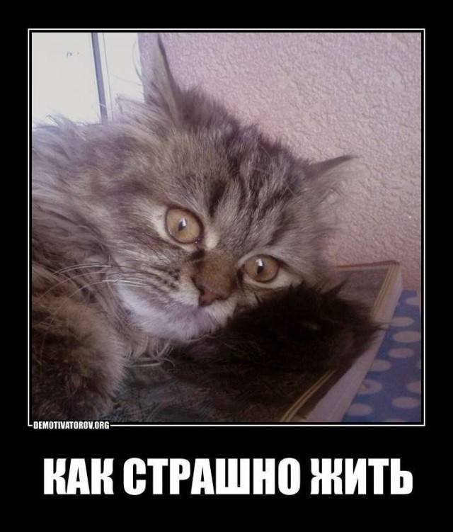 Житель Ростова три дня ходил с застрявшим фаллоимитатором, стесняясь врачей
