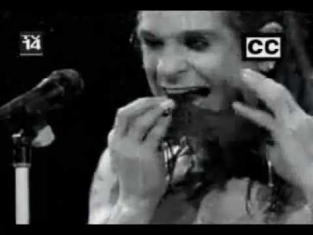 Самые безумные выходки звезд