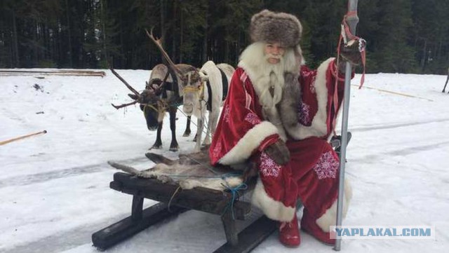 Театр абсурда. Западные СМИ считают, что Дед Мороз - пьяница и развратник, придуманный Сталиным