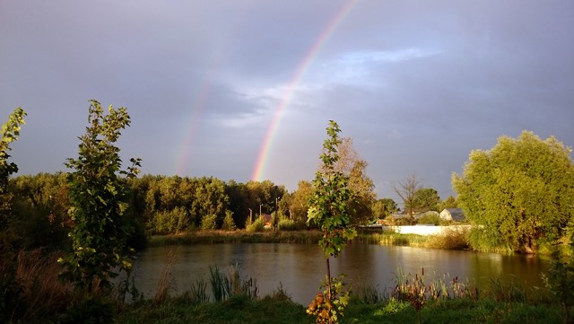 Просто Природа