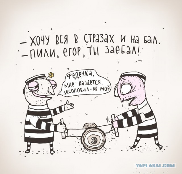 Ой, маразм, маразм,  не маразмь меня!