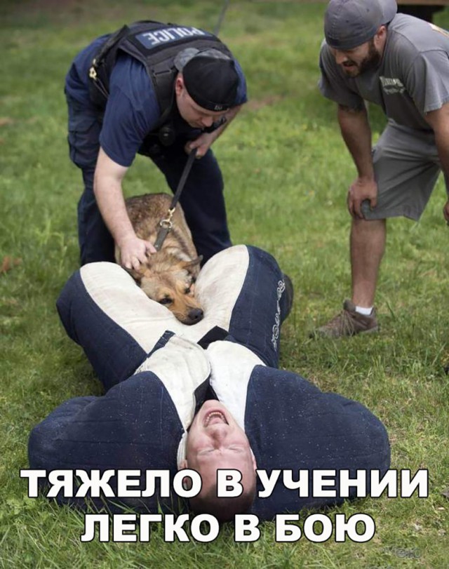 Нестандартный юмор