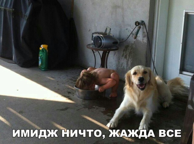 Нестандартный юмор