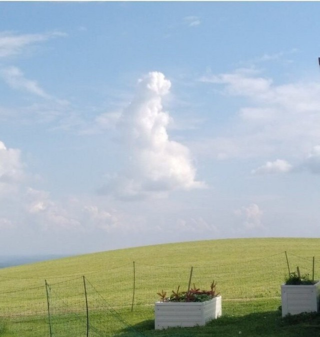 Не очень адекватный юмор