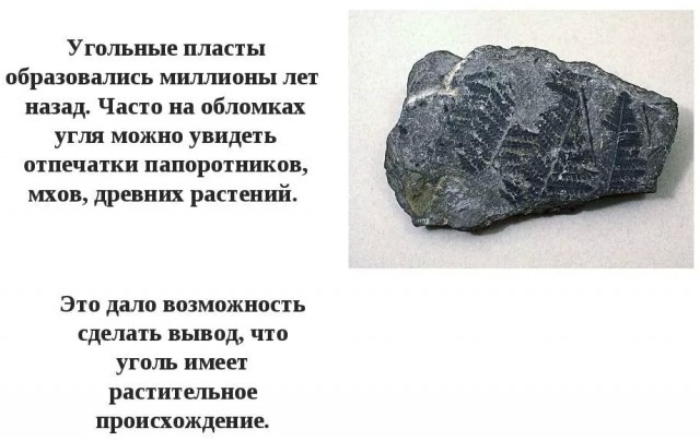 Трещина в камне показала сюрприз