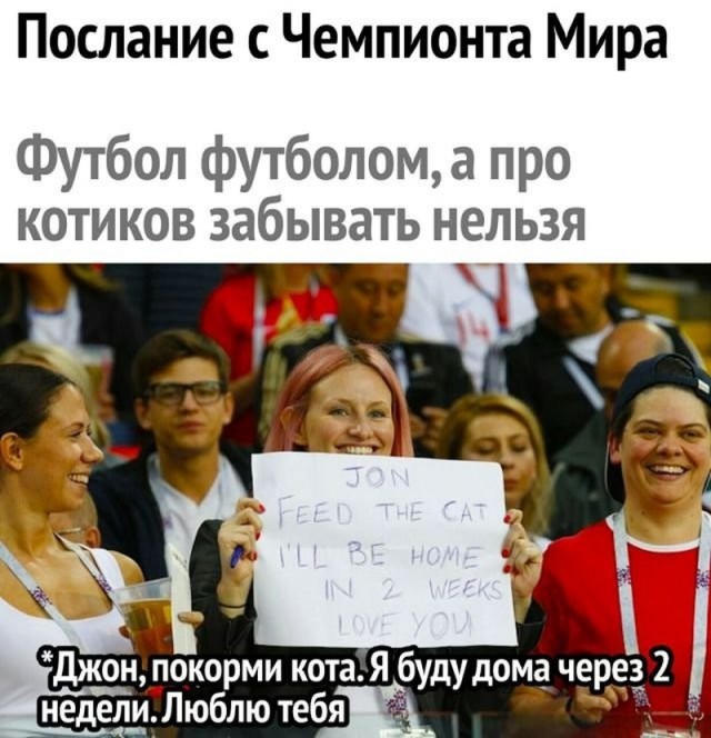 Картинки по-приколу