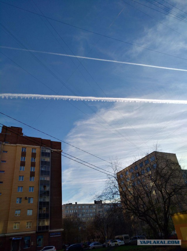 Девушка сфотографировала как травят москвичей