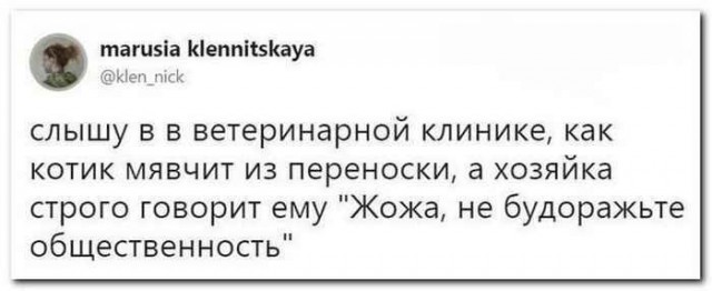 Смешные комментарии из социальных сетей 23.11.2018