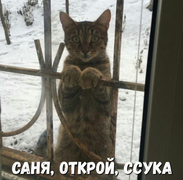 Вы что там, опять жрёте, что ли?