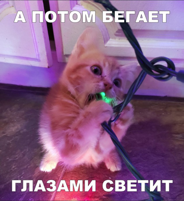 Нестандартный юмор