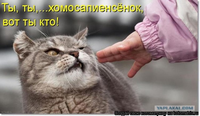 "Гладильные" места