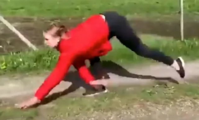 Соревнования по конному спорту прошли без... коней