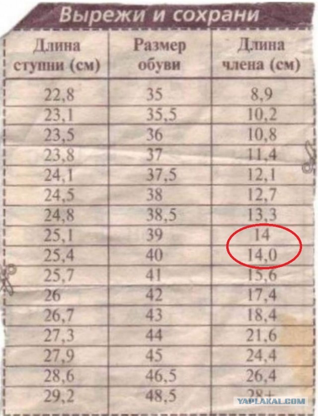 Бредзона 05.01.20