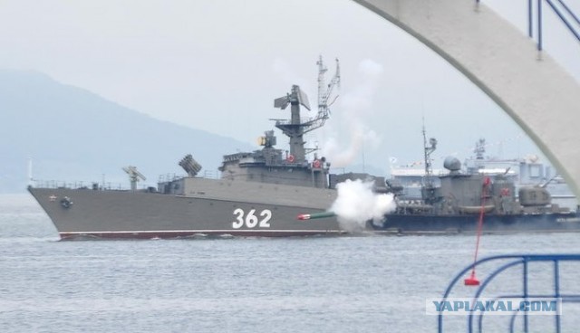 Кратко о рыбалке в Амурском заливе