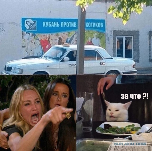 Бредзона 20.04.2020
