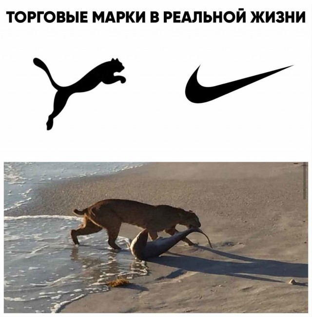 Опять 25, но не 25