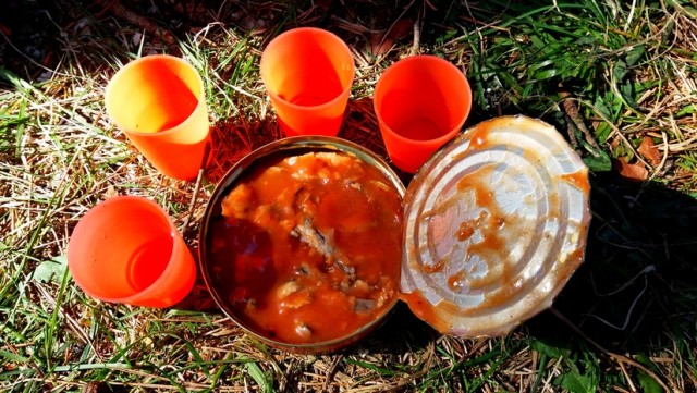 Килька: Селёдка, ставшая культовой в СССР. Её ловят по 600 тысяч тонн в год, а она не кончается. Как так?