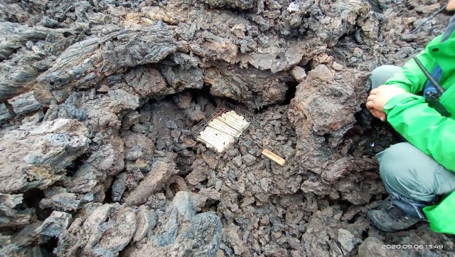 Камчатка, Толбачик