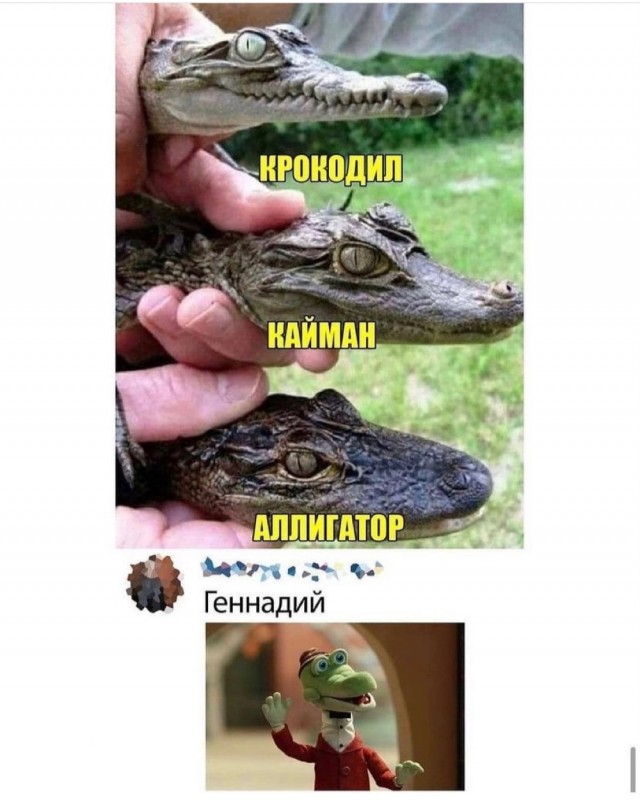 Так себе картинки 20.08.21