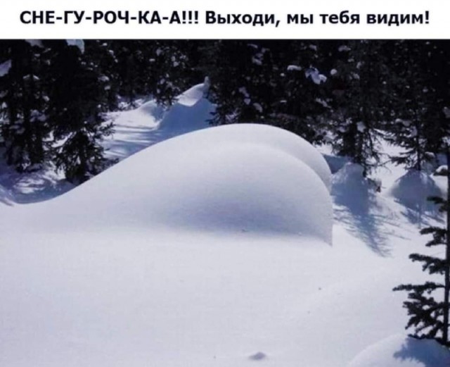 Всяческие картинки 24.11.2021