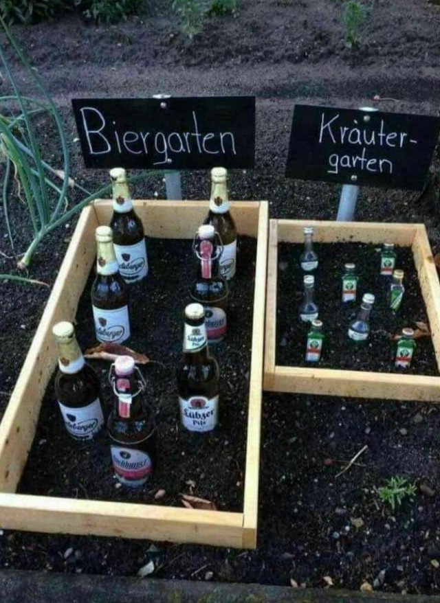 Картинки и мемы для настроения 25.11.2021