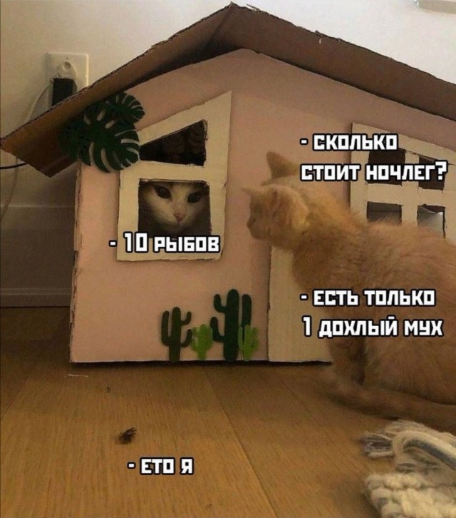 Котстел