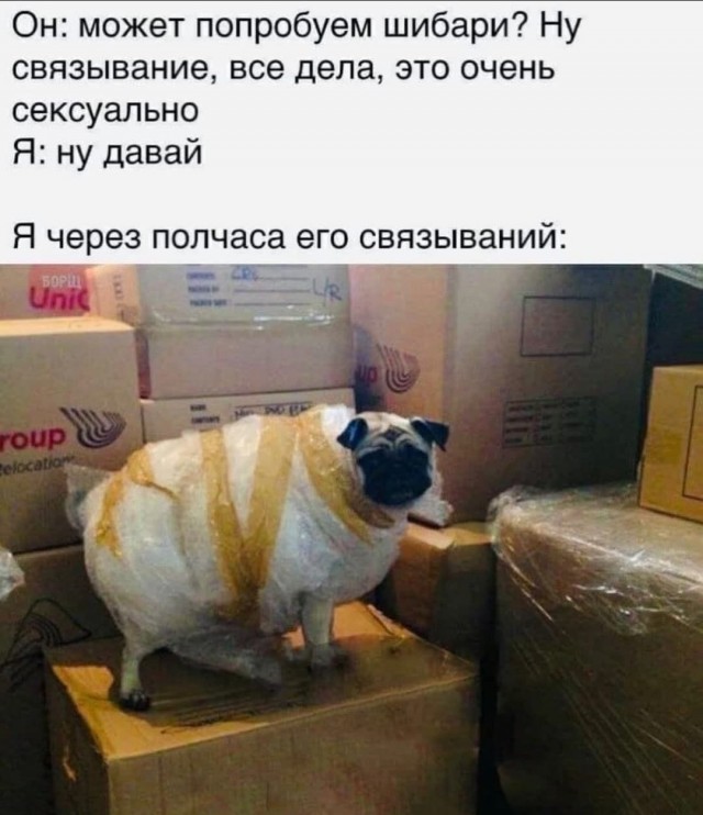 Немного картинок разной степени новизны и адекватности - 12
