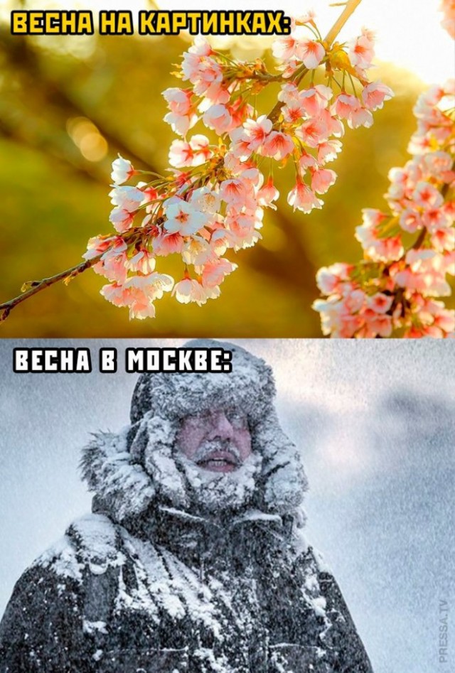 Картинки и мемы, всем отличных выходных
