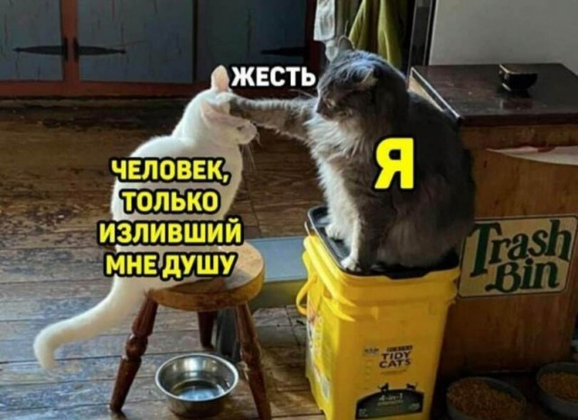 Картинки и мемы для настроения - 29