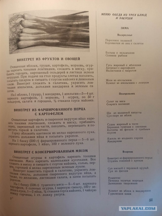 Здоровая и вкусная еда СССР 1954 год