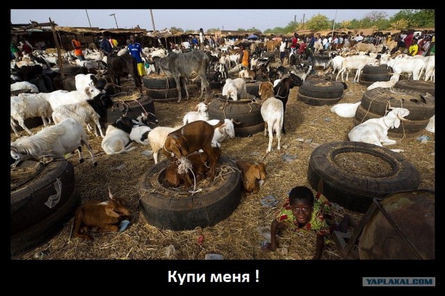 Путевые заметки. Буркина-Фасо