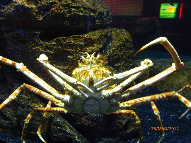 Путешествие в Таиланд.