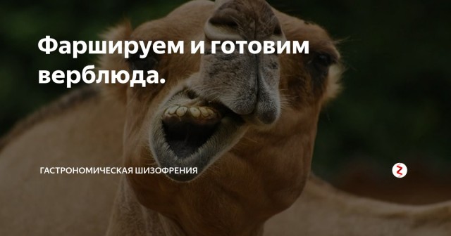 Червячок Геннадием позавтракал ...