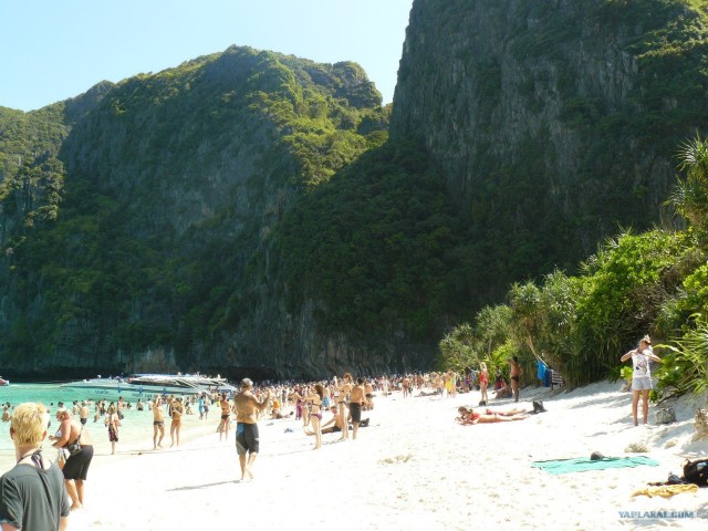 Немного Тая