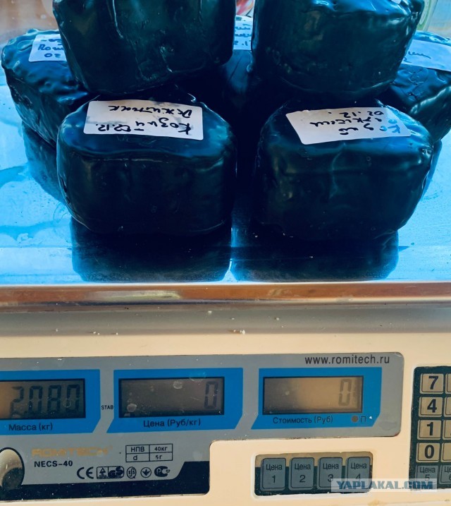 Варим качотту дома. Самый простой рецепт