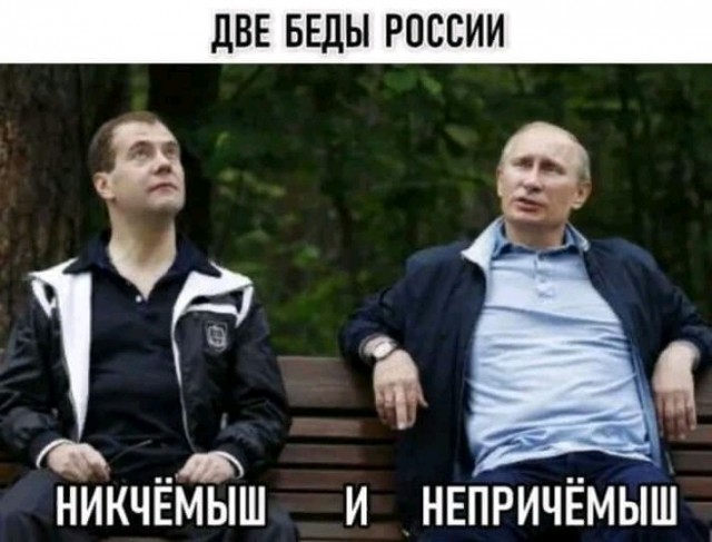 Политики знают все