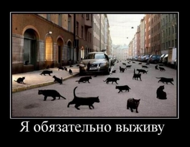 И снова Без_Системы 25 рисунков